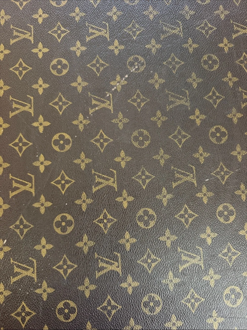 Louis Vuitton Alzer 70 Monogram Trunk Case in Brown & Tan Canvas